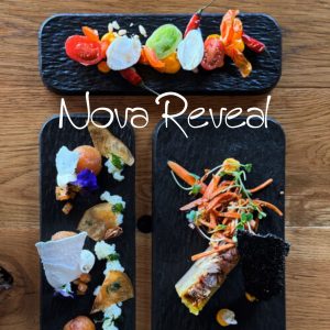 NOVA REVEAL