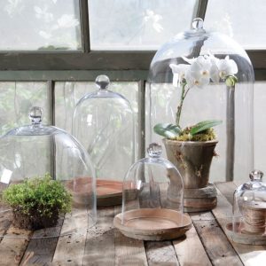 GLASS DOMES