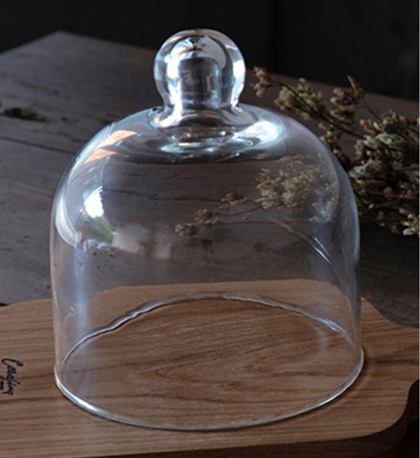 Pc Cloche 10.2×10.2cm