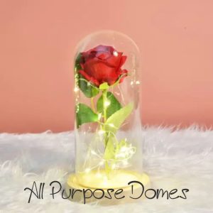 All Purpose Domes