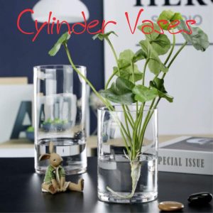 Cylinder Vases