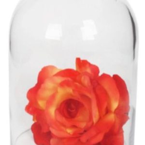 Aquarium Dome Lrg 18X14 cm
