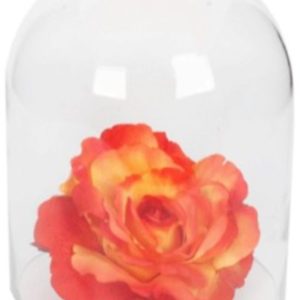 Aquarium Dome Med 17X12 cm