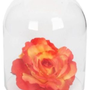 Aquarium Dome S ml 10X7 cm