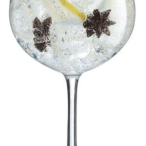 Arc Vina Gin 700 ml