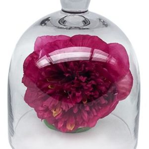 Bell Dome 15X18 cm