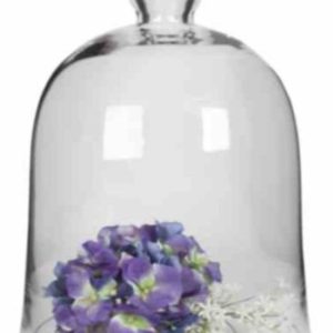 Bell Dome Lrg 34X24 cm