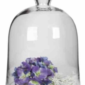 Bell Dome Xl 40X29 cm