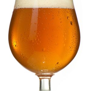 Bristol Schwenker 640 ml