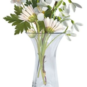 Curved Vase 24X9.5 cm