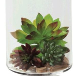 Ftd Cylinder 26X20 cm