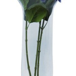 Ftd New Trumpet Vase 58X24 cm