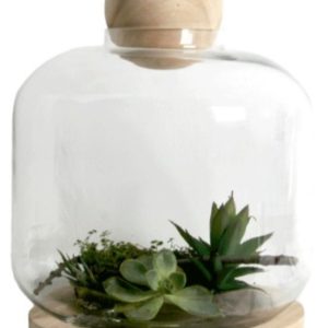 Greenhouse 40X30 cm