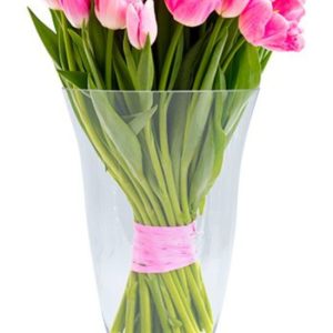 Hanxi Tulip Lrg 30X18 cm