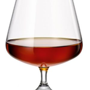 Royalex Banquet Cognac Glass 560ml