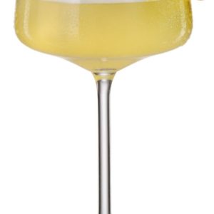 Royalex Banquet Martini Glass 425ml