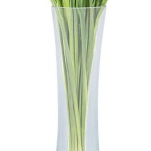 Slender Vase 59X14 cm