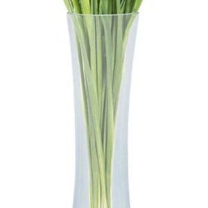 Slender Vase 59X14 cm