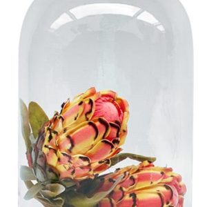 Tall Display Dome 32X21 cm