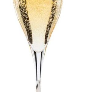 Vicrila Palladium Flute 170 ml
