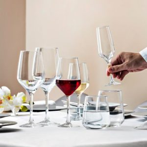 Vicrila Mencia Wine 580 ml Tempered